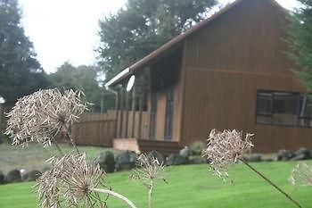Ariari Lodge, Lake Rotorangi Stratford Eksteriør bilde