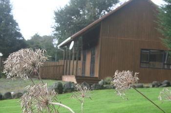 Ariari Lodge, Lake Rotorangi Stratford Eksteriør bilde